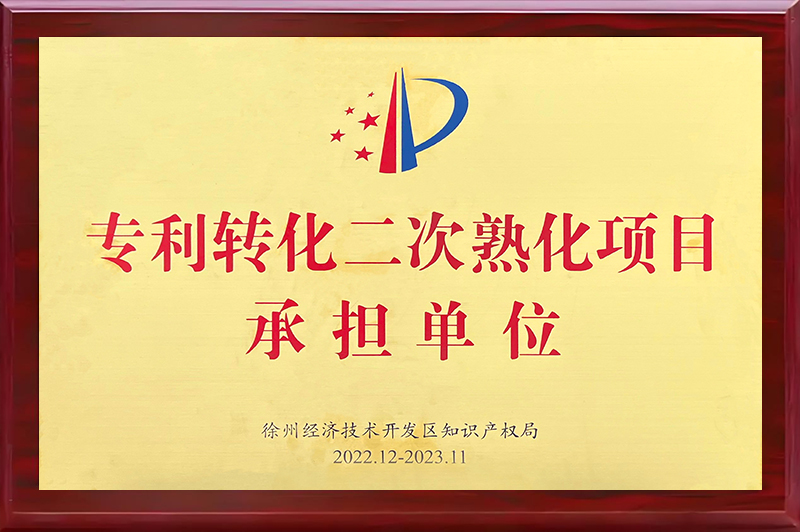 专利转化二次熟化项目承担单位