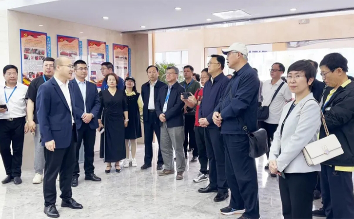 追梦中华·奋进新江苏丨2024海外华文媒体团走进瑞马智能